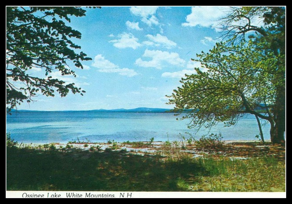 Old postcard - Ossipee Lake framed by trees on sides, with grassy area in foreground - says "Ossipee Lake, White Mountains, NH"