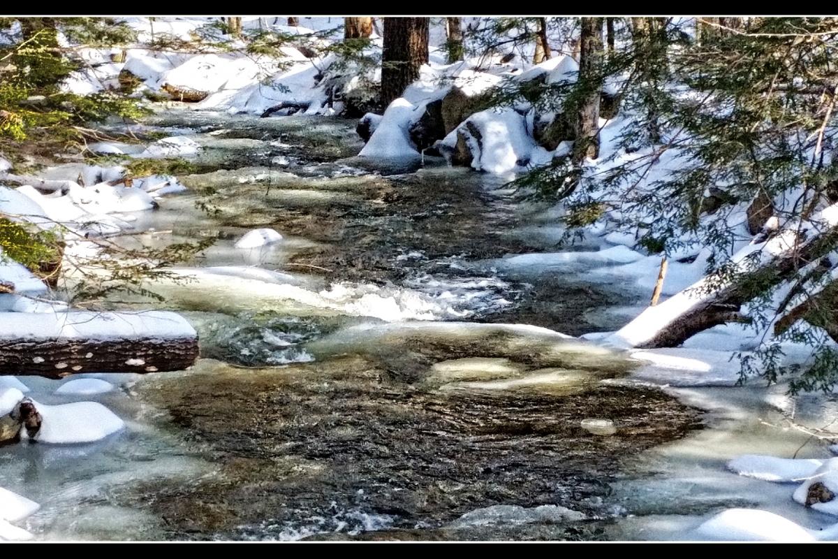 Wnter in the woods - snow on rocks and fallen tree trunks across and in flowing stream