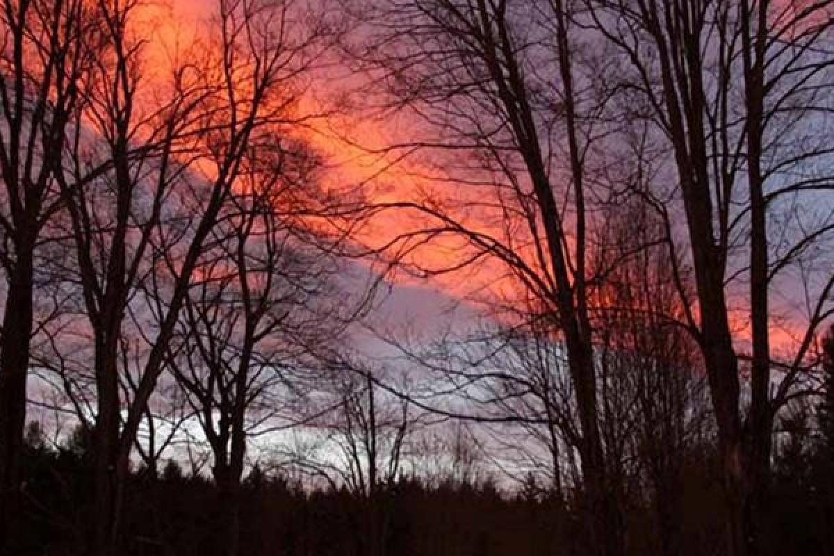 Sunset Colors in evening sky with silhouttes of bare trees in foreground