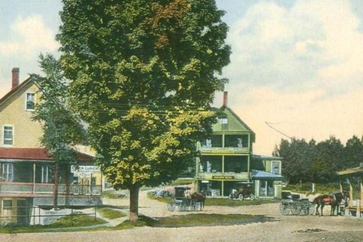 Old post card ofPost Office Square -West Ossipee: buildings in right, loft and rear, tree center, horse & buggy at bldg on right