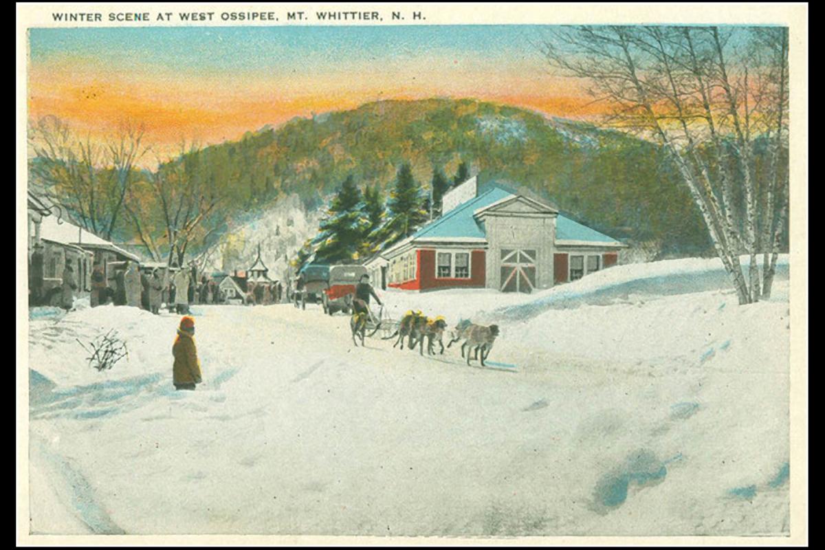 Old postcard - West Ossipee Mountain - dogsled being watched by spectator on snow-covered street, buildings in background 