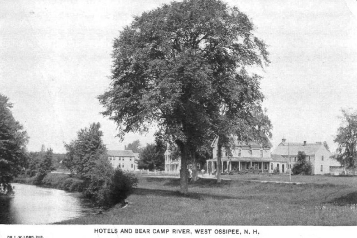Hotels Bear Camp River