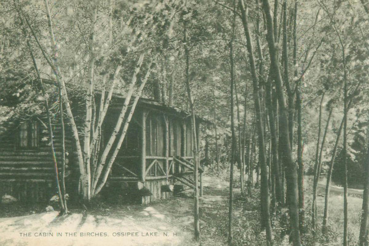 The Cabin in the birches, Ossipee Lake
